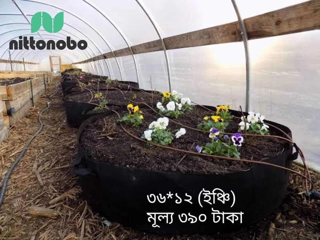 ৩৬x১২ ইঞ্চি রাউন্ড ভেজিটেবল বেড